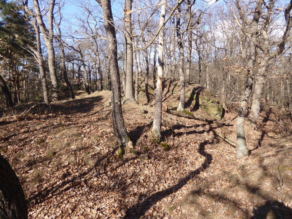 Der kleine "Berg" im Steinholz