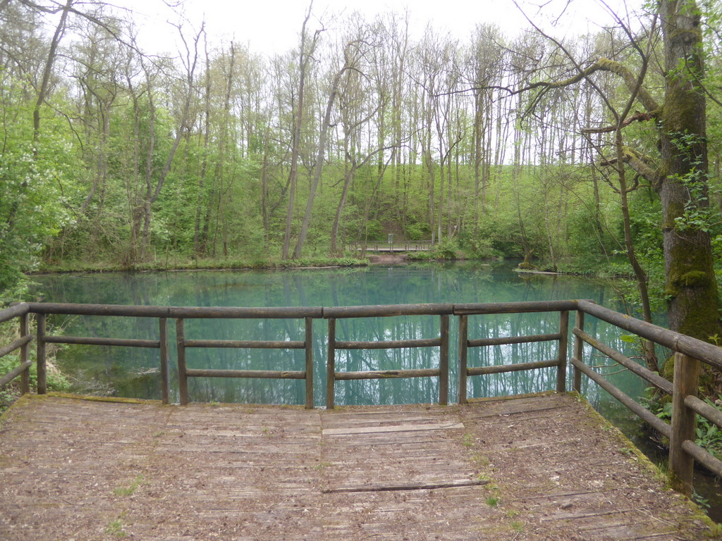 Blick auf den Quellsee, Durchmesser ca 20 m!