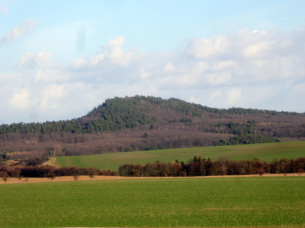 Der Hoppelberg oder "Sargberg"