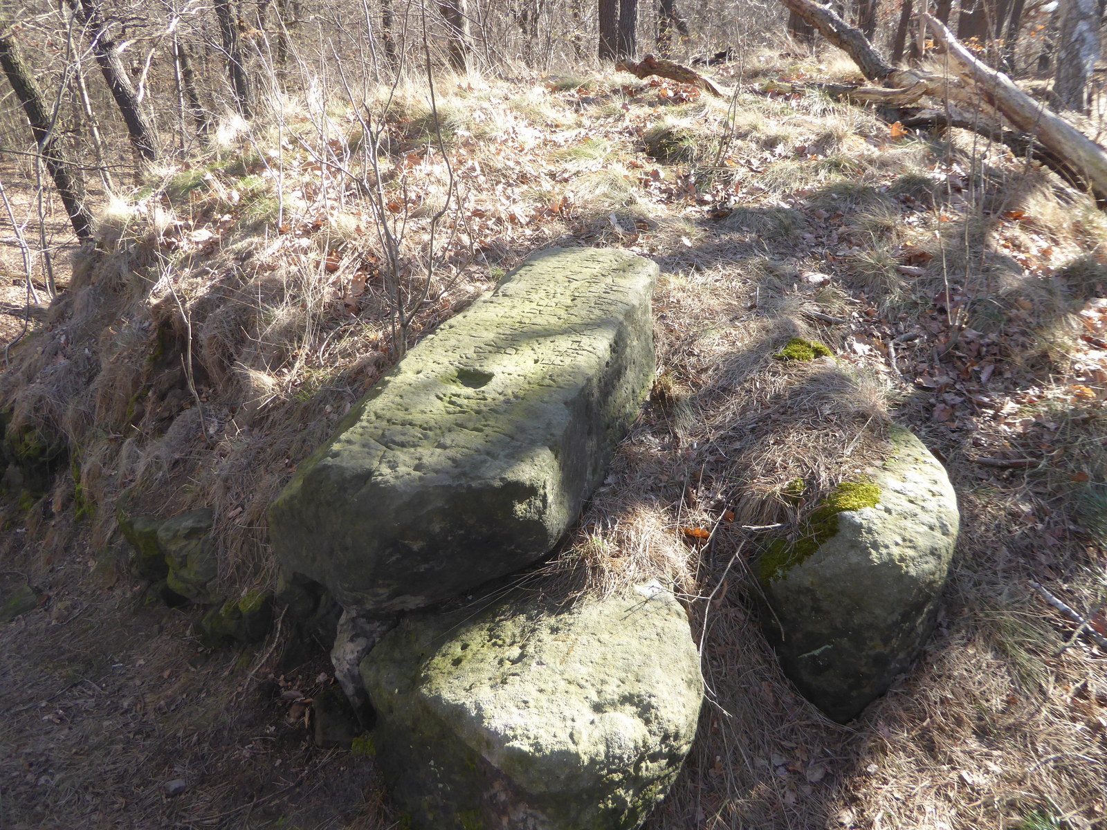 Der Restfels im Steinholz (mit dem Namen Brockenblick)