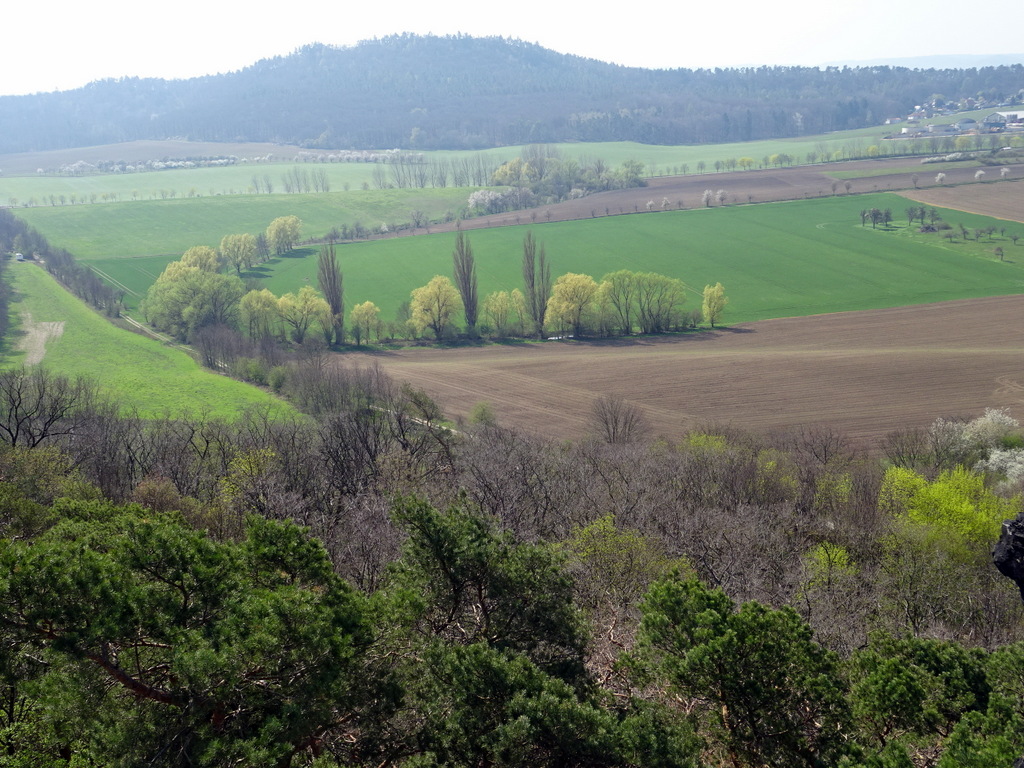 Und der Blick auf den "Odinsberg" von Norden