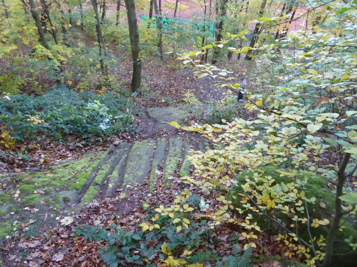 Blick von oben auf die Rinnen der gesamte Anlage