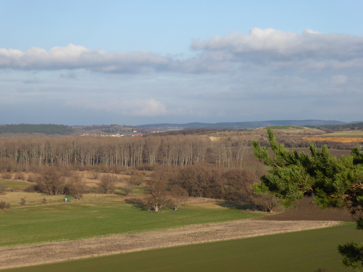 Blick über das Bruch