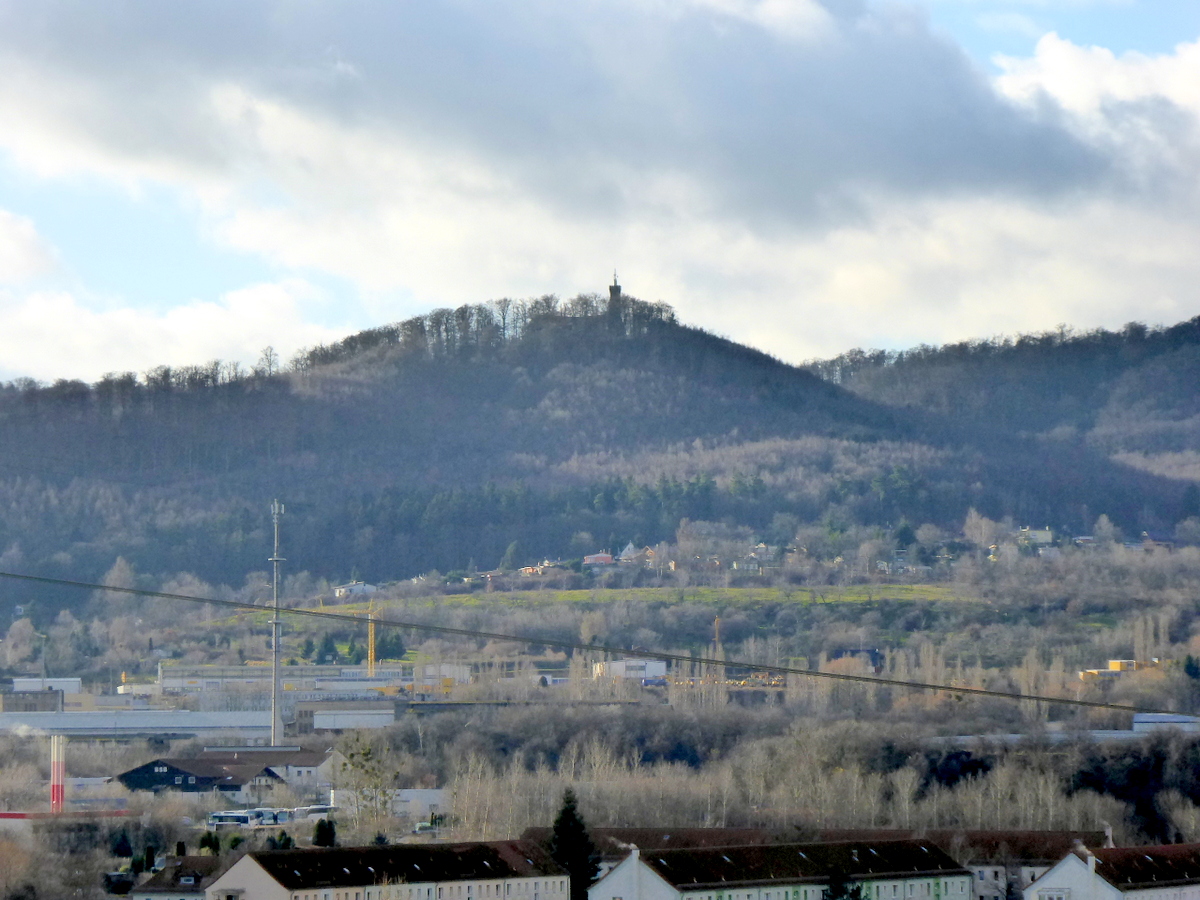 Der Eichberg über der Stadt, von hohen Laubbäumen umgeben