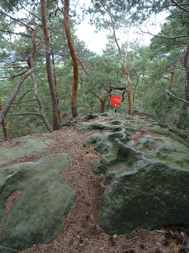 Den durch Bäume verdeckten Brocken hab ich durch die Scheibe ersetzt. Die Schälchen verlaufen genau in einer Reihe