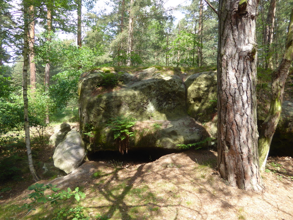 Muschelgeformte Höhlen