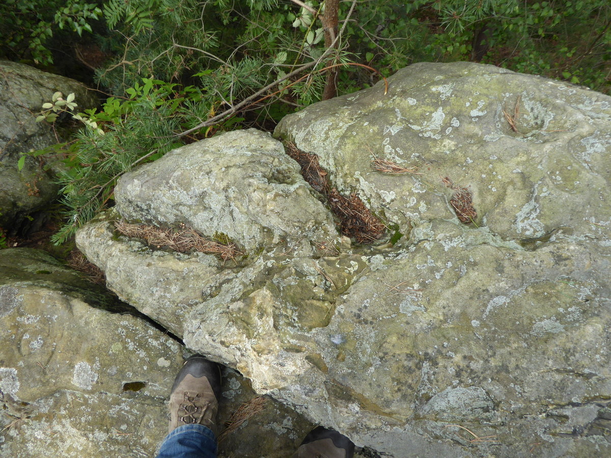 Näpfe mit Rinnen sind an der Mittelkerbe