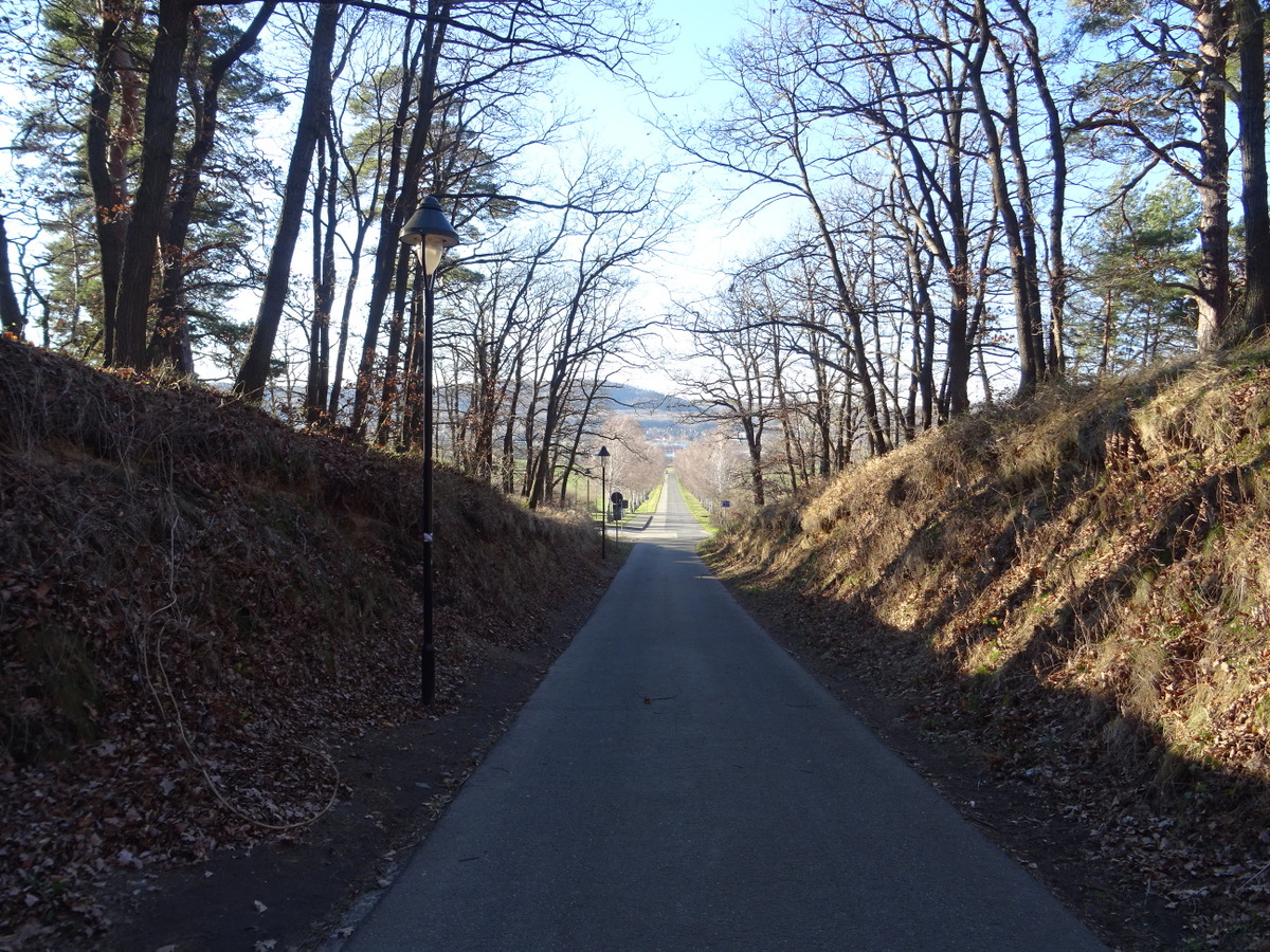 Die Auffahrtstraße z. Regenstein