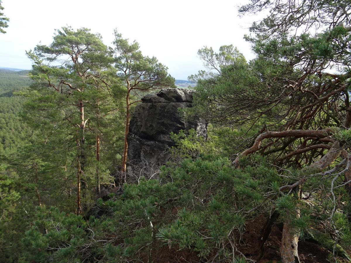 Die kleine Roßtrappe ist oben auf diesem Felsen 