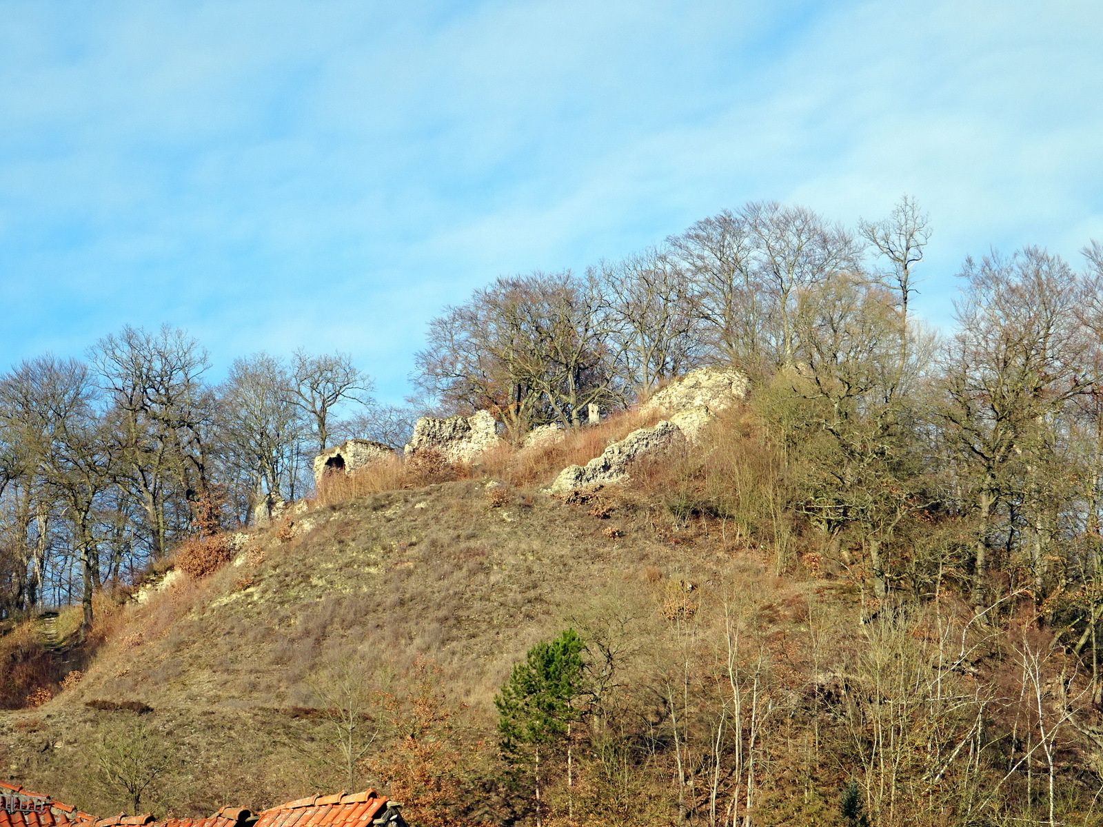 Die Alte "Questenburg" gegenüber auf dem Berg