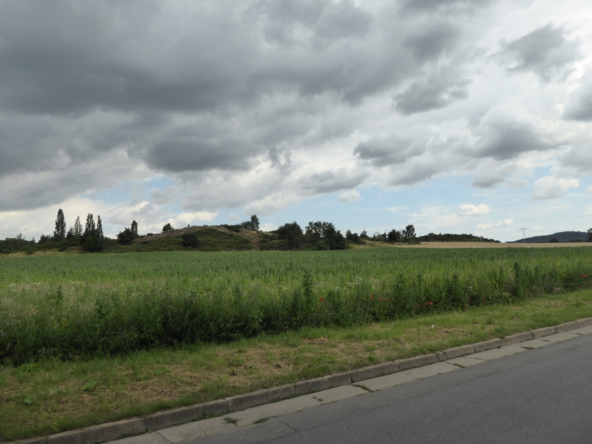 Der Sassenberg an der alten Börnecker Straße (Heute Sonnenbreite bei Gehren)