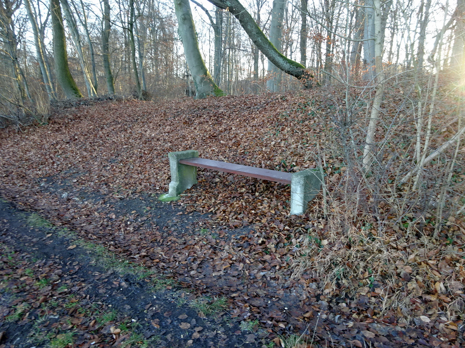 Das ist die Bank am Horstberg