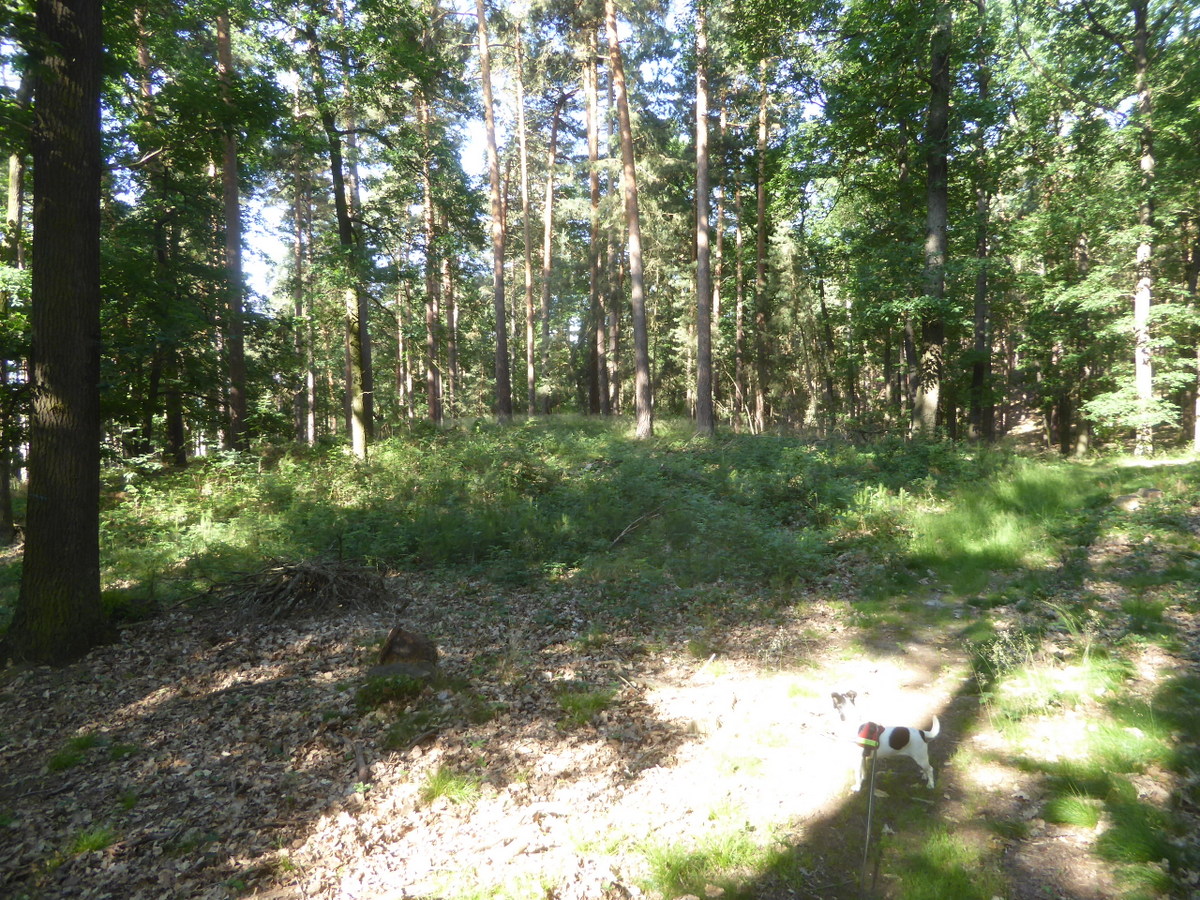 Das Hügelgrab vor dem kleinen Tyrstein