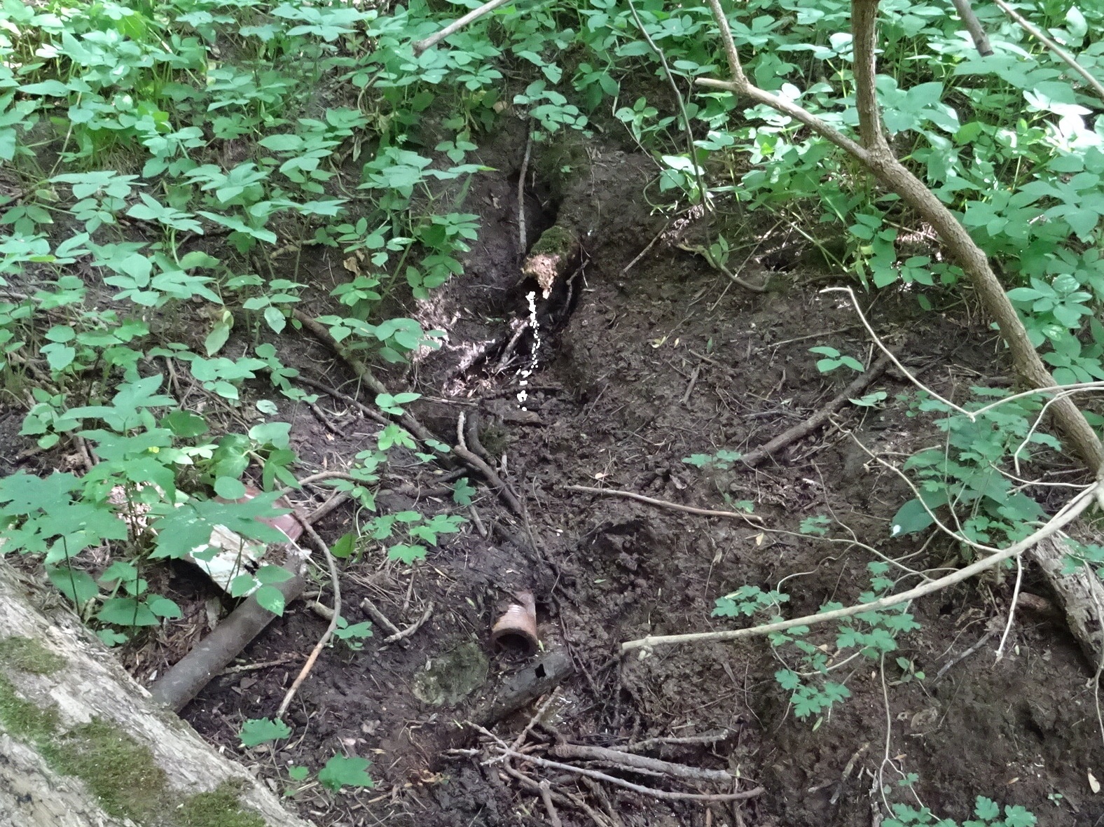 Aus diesem Rohr tropft das spärliche Quellwasser