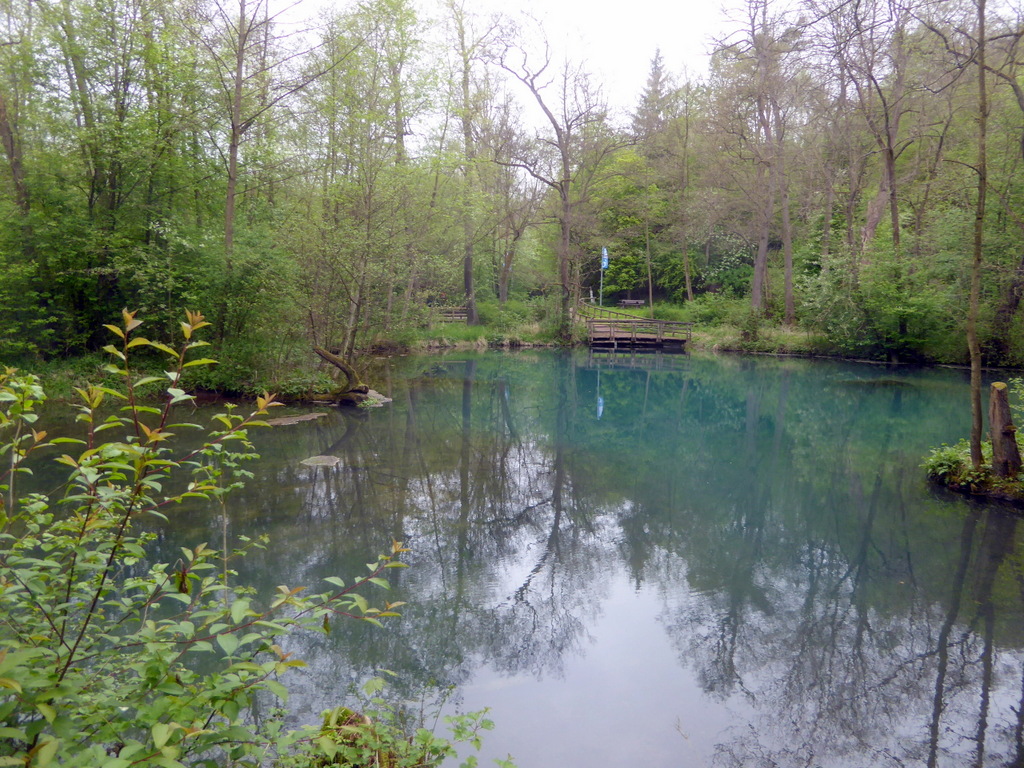 Der bläuliche Quellsee