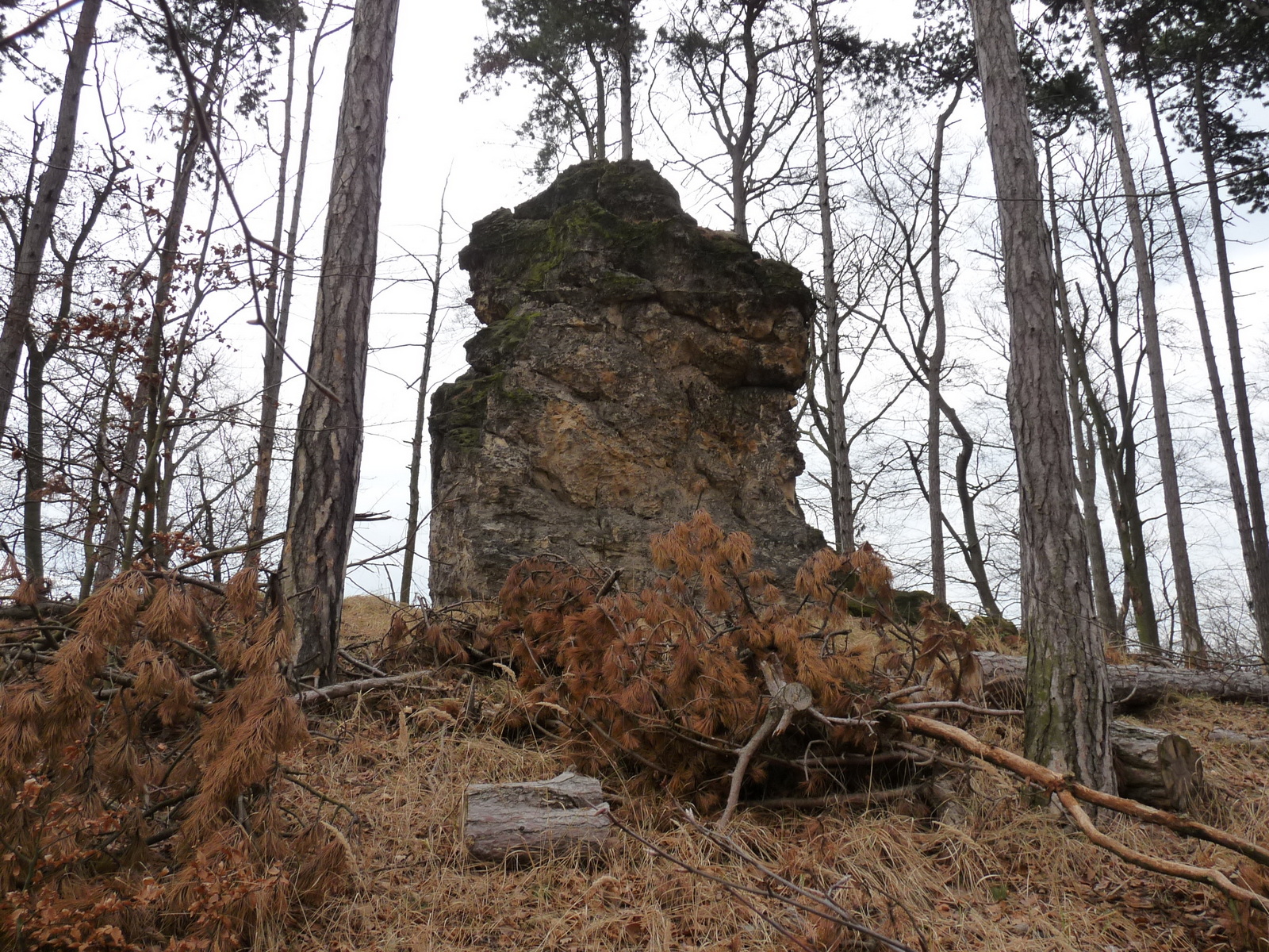 Henning Mönch im Wald