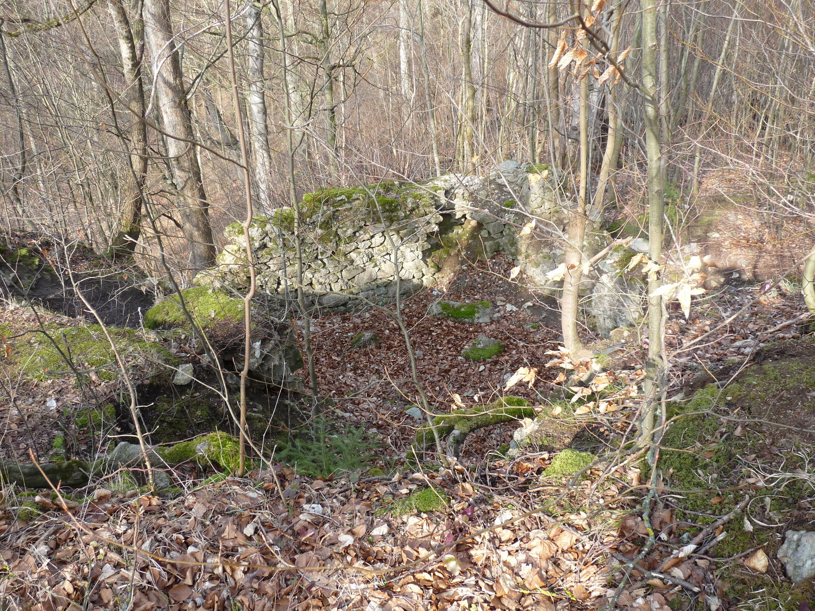 Mauerreste über der Höhle