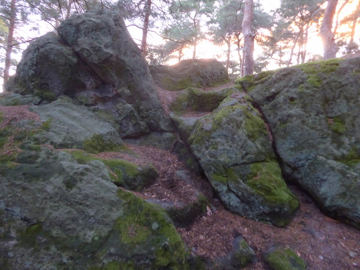 Hohe Sonne, Timmenrode