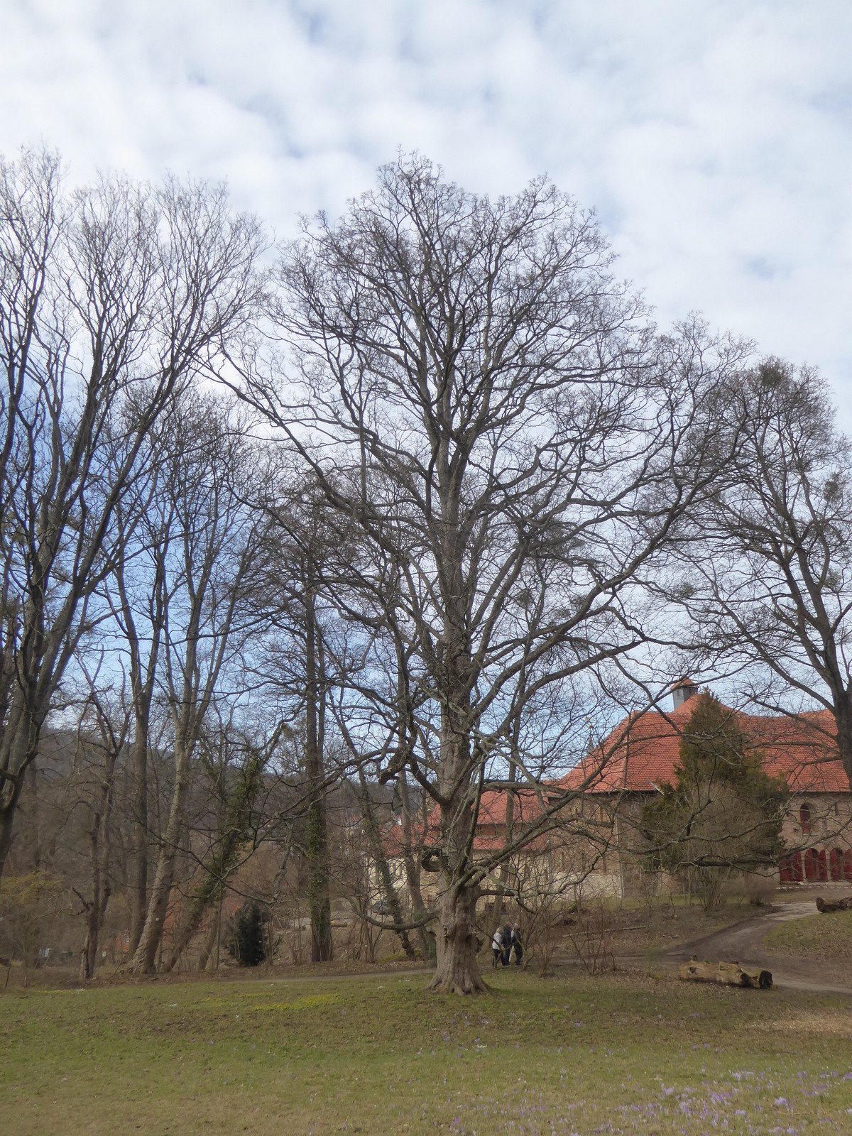 hinter dem Kloster Ilsenburg