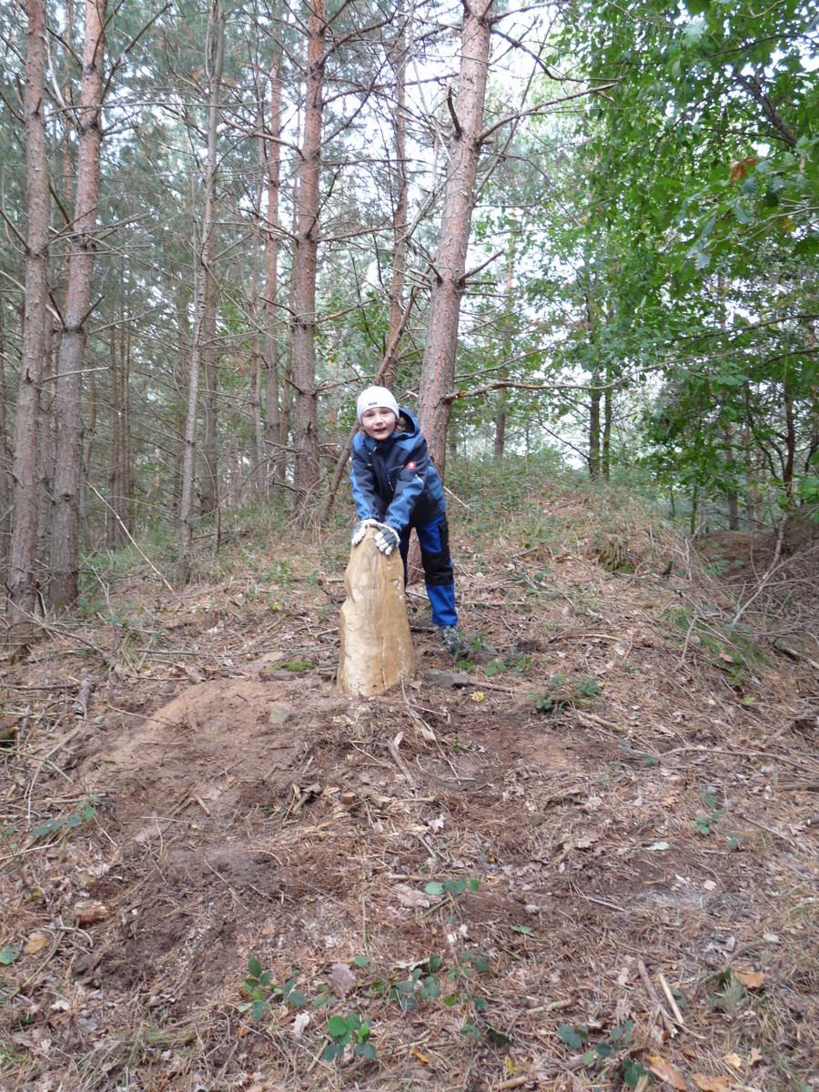 Der von uns "neu" aufgestellte Menhir