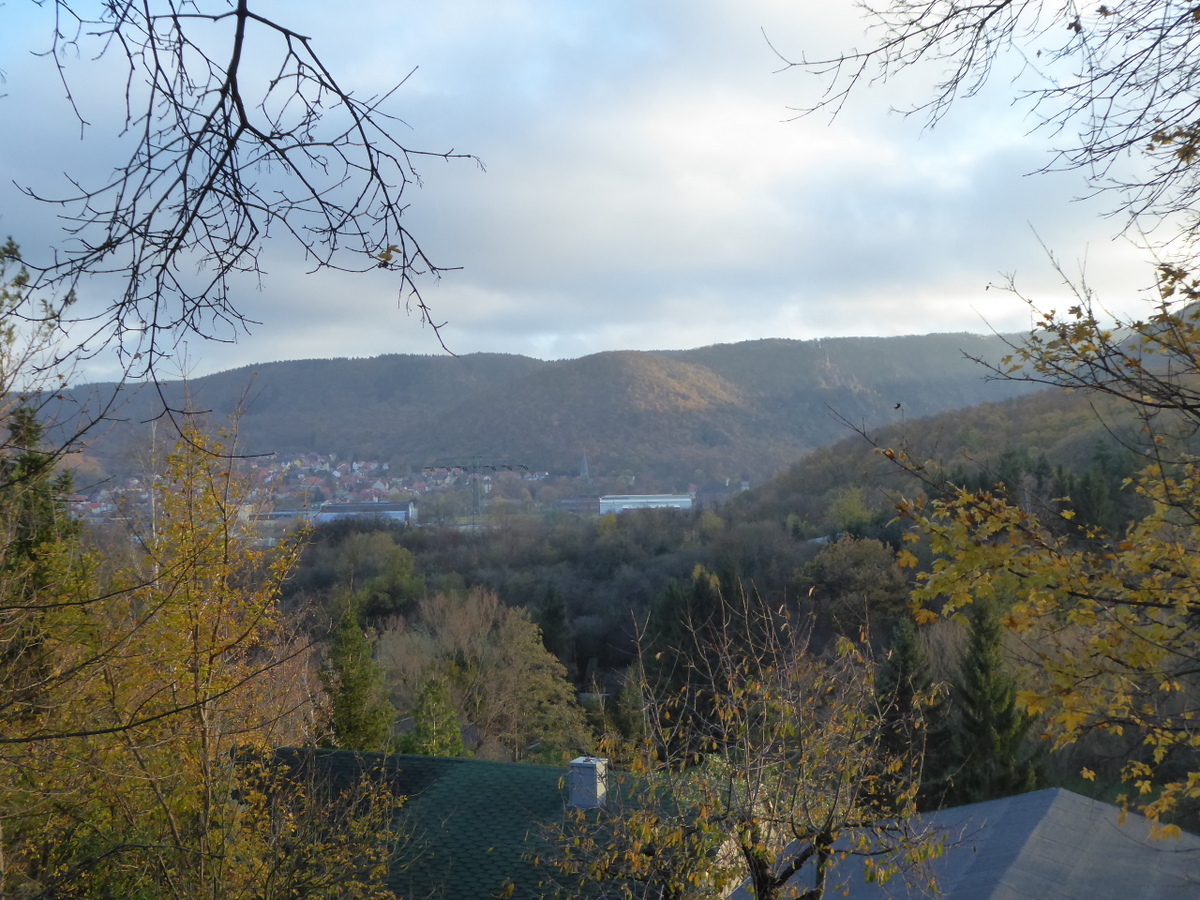 Blick zum Lindenberg / Hexentanzplatz