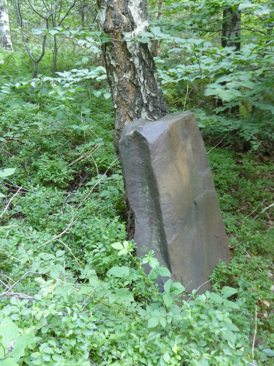 weiter im Wald findet man die größeren Steine