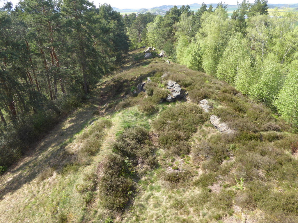 Der Kammweg auf dem Langenberg