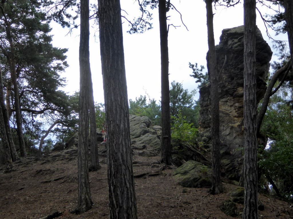 Hans Mönch im Wald