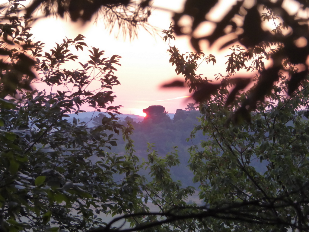 Sonnenaufgang zur Sommer-Sonnenwende durch das Laub