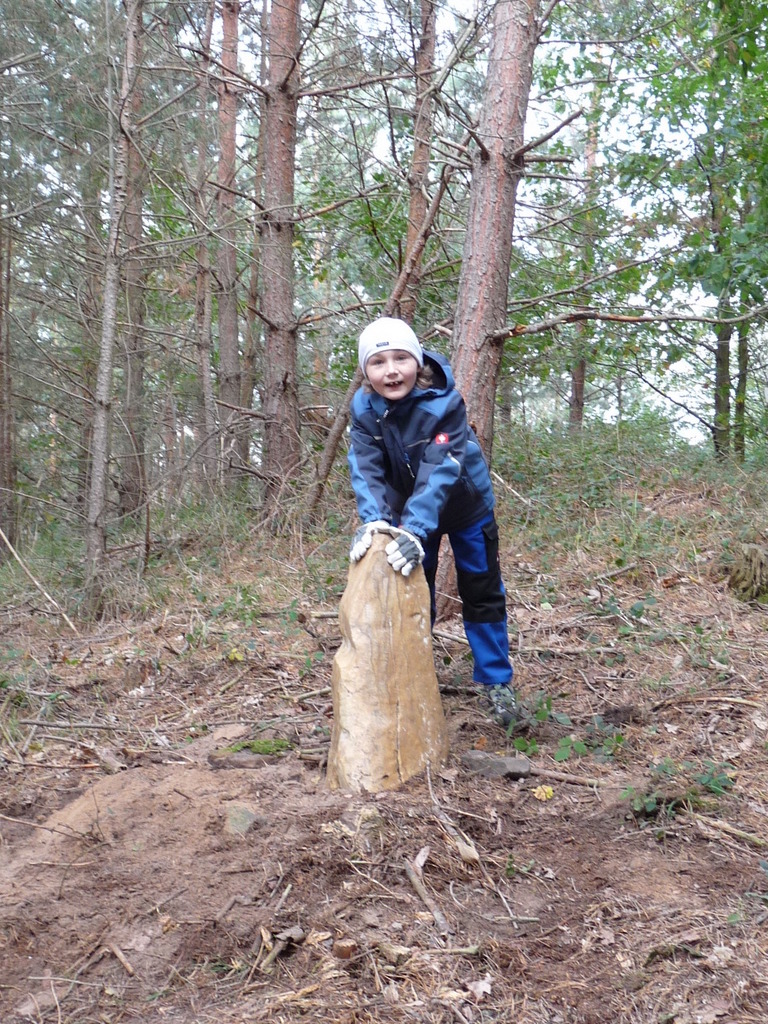 Der kleine Menhir am Honigkopf