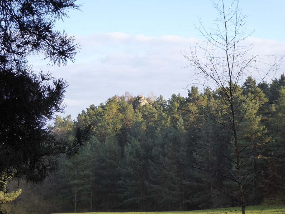 Die kleine Kuksburg zwischen den Bäumen versteckt