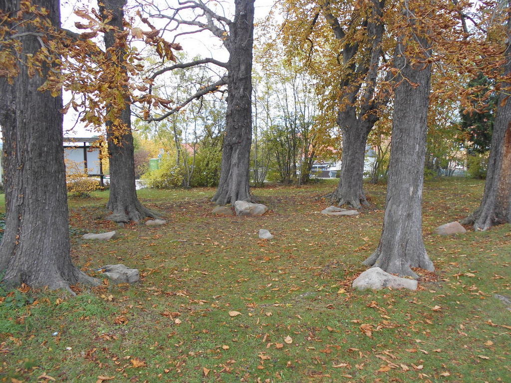 Der Steinkreis mit seinen Bäumen