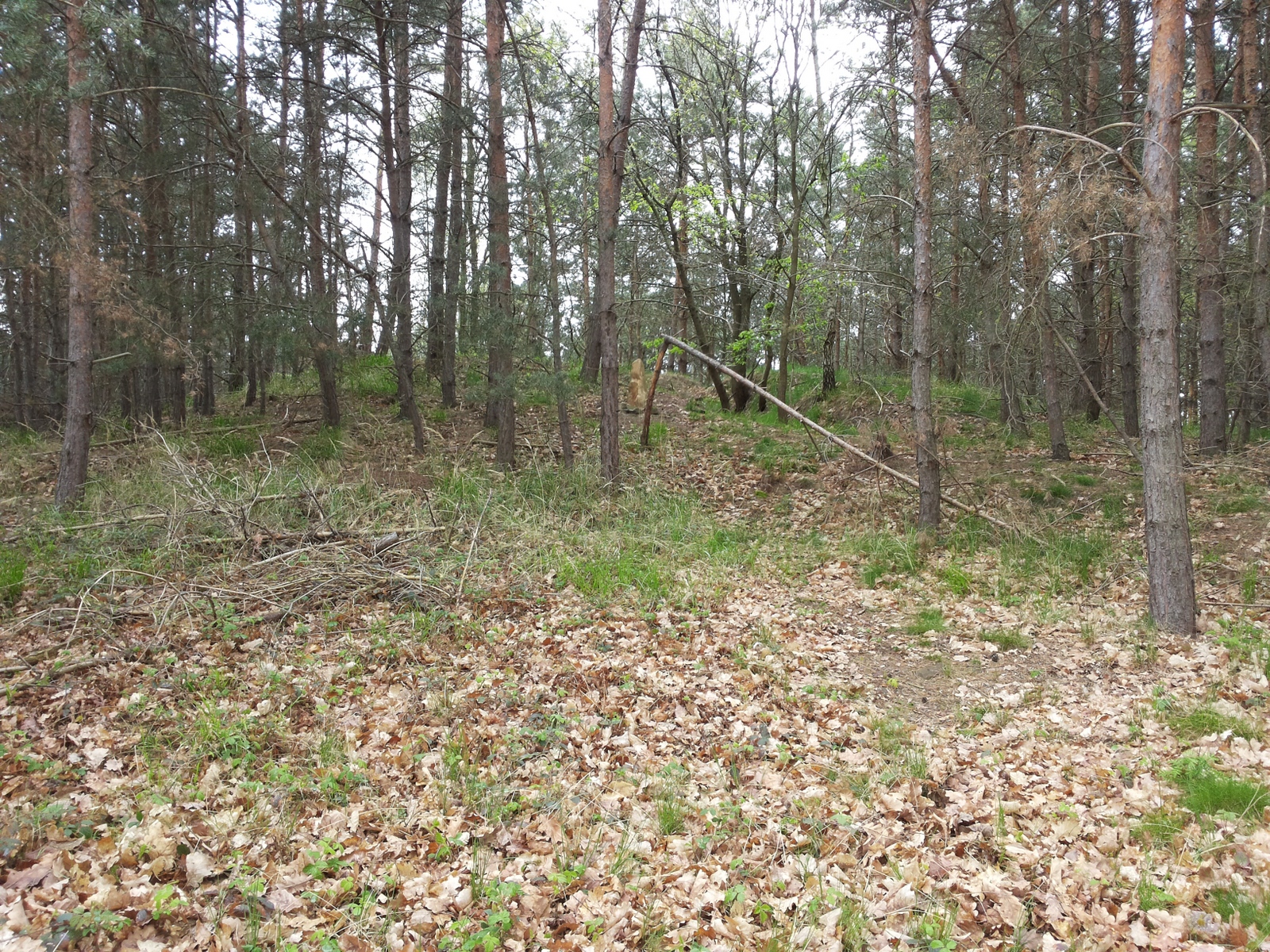 Hier ist der falsche Menhir zu erkennen