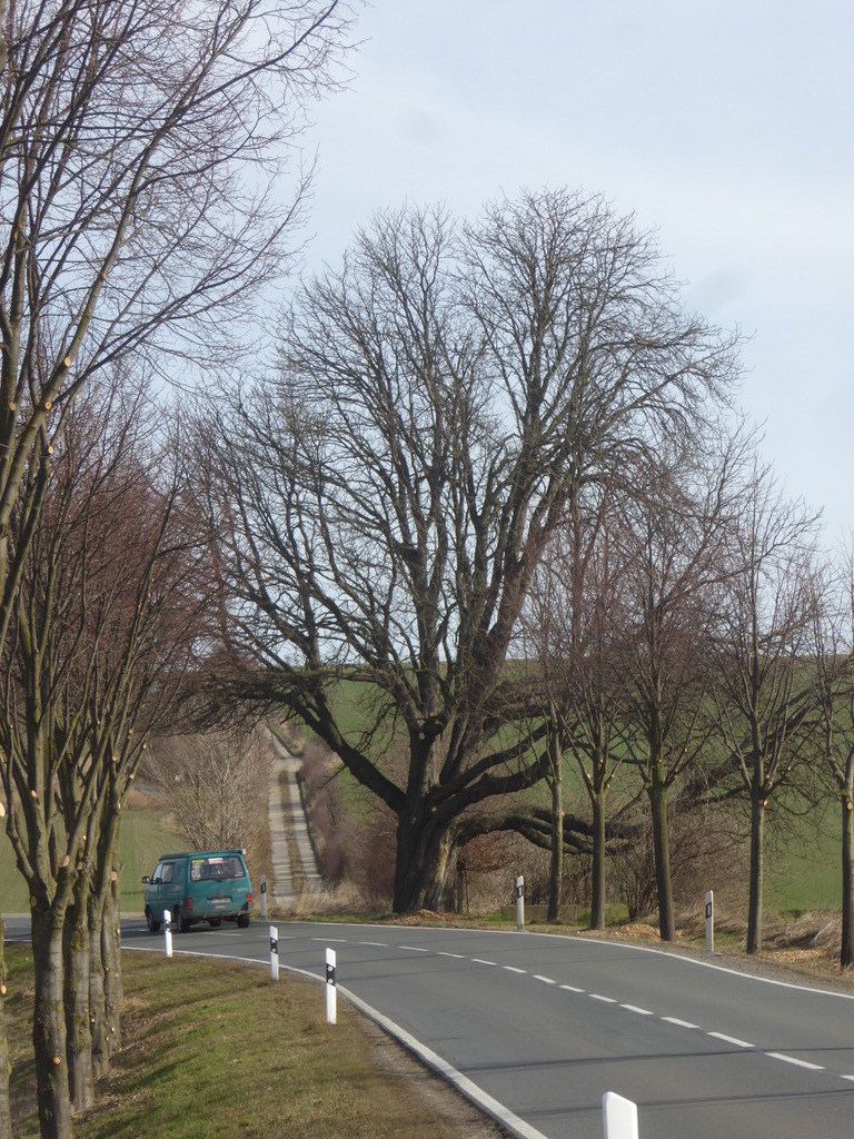 Die Auffahrt zum Markberg auf dem abbiegenden Feldweg