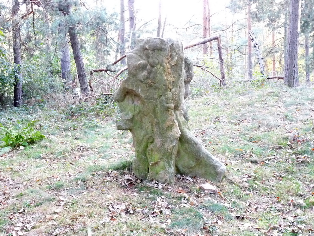 Der Schösserkopfstein (Gesichtsstein)