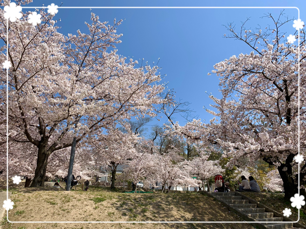 岡崎城♪