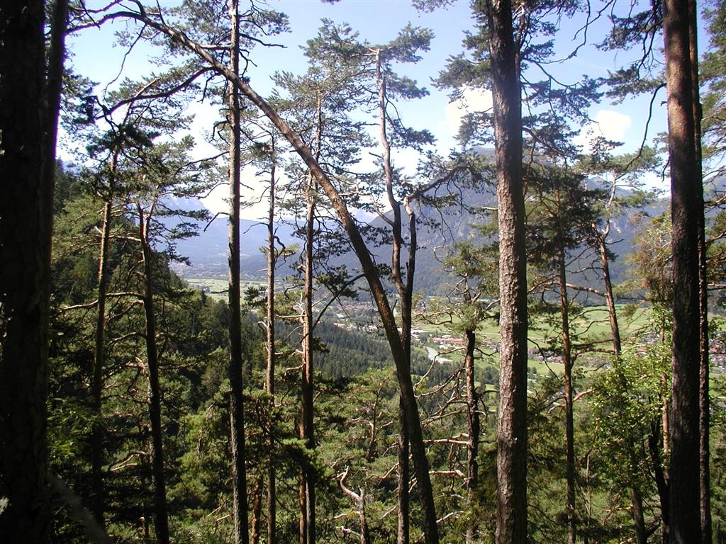 Blick ins Loisachtal