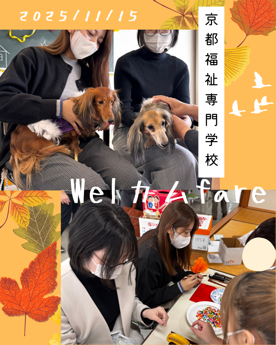 京都福祉専門学校『Welカムfare（ウェルカムフェア）』♪
