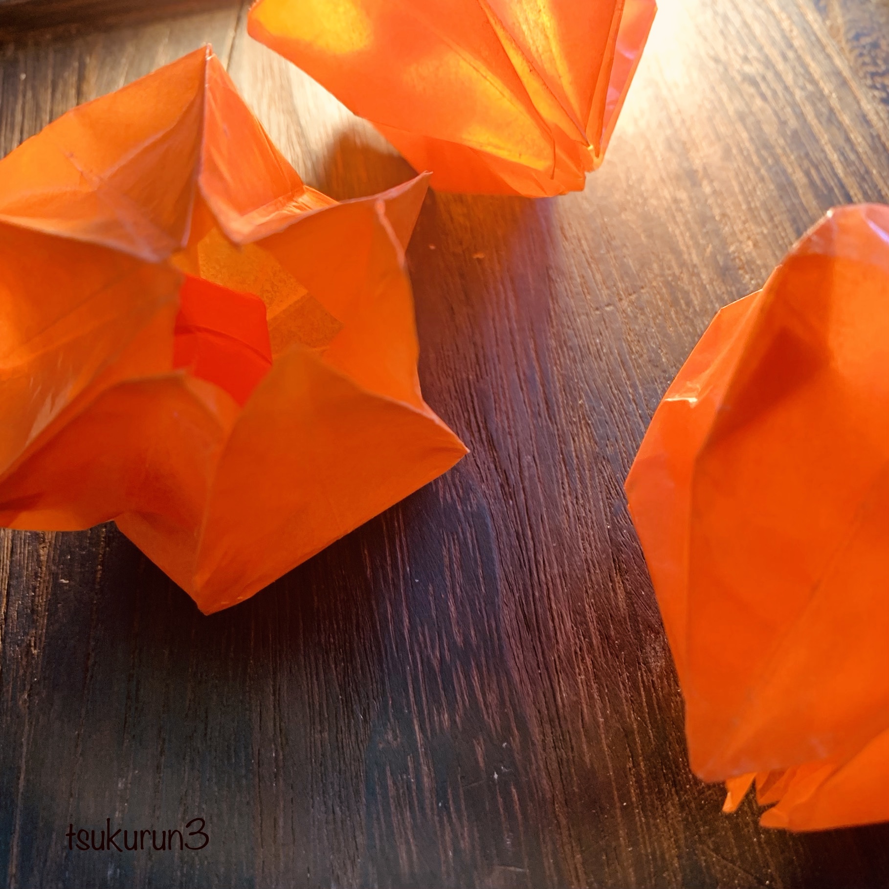 おりがみ光遊び 鬼灯の時 つくるん広場