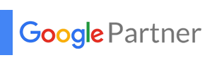 Google Partner professionele website