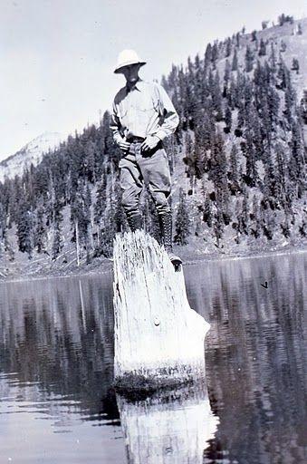 Der Stamm kann problemlos das Gewicht einer Person tragen. (Im Bild: Ein Park-Ranger in den 1930er-Jahren auf dem «Old Man of the Lake»).