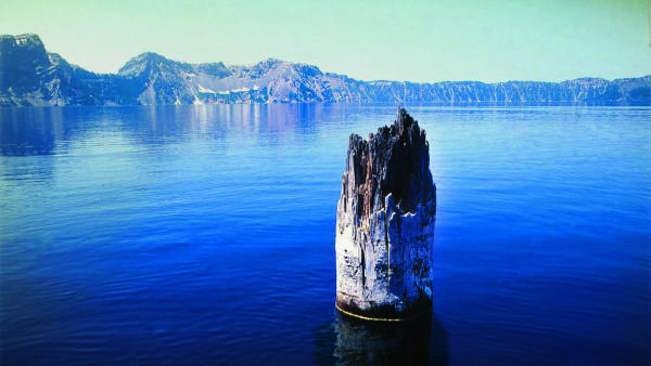 Gibt seit 120 Jahren Rätsel auf: Der «Old Man of the Lake», der aufrecht im Crater Lake treibt.