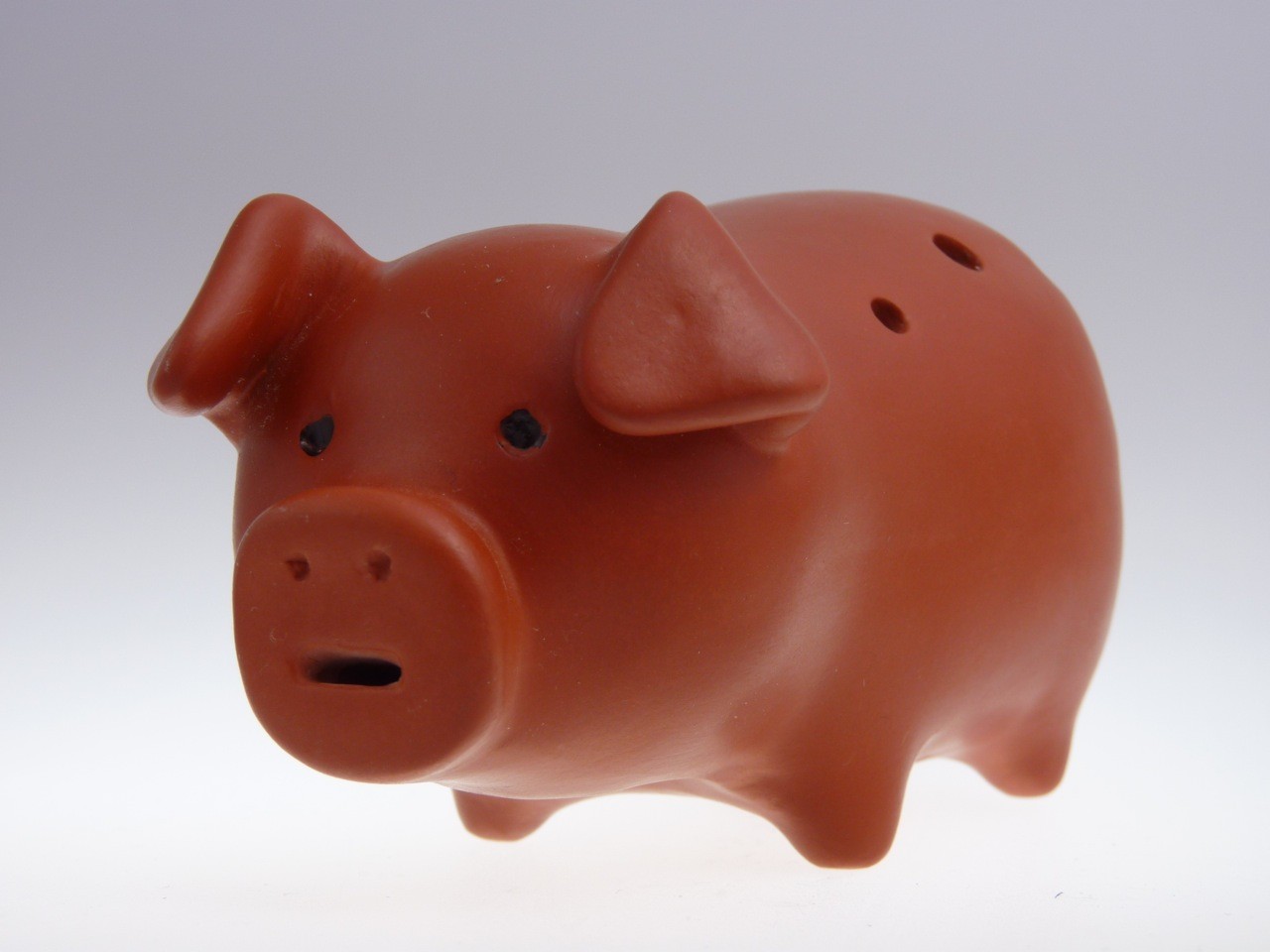 7Loch Muschel Eine Ocarina aus der Werkstatt Rotter studio stennes