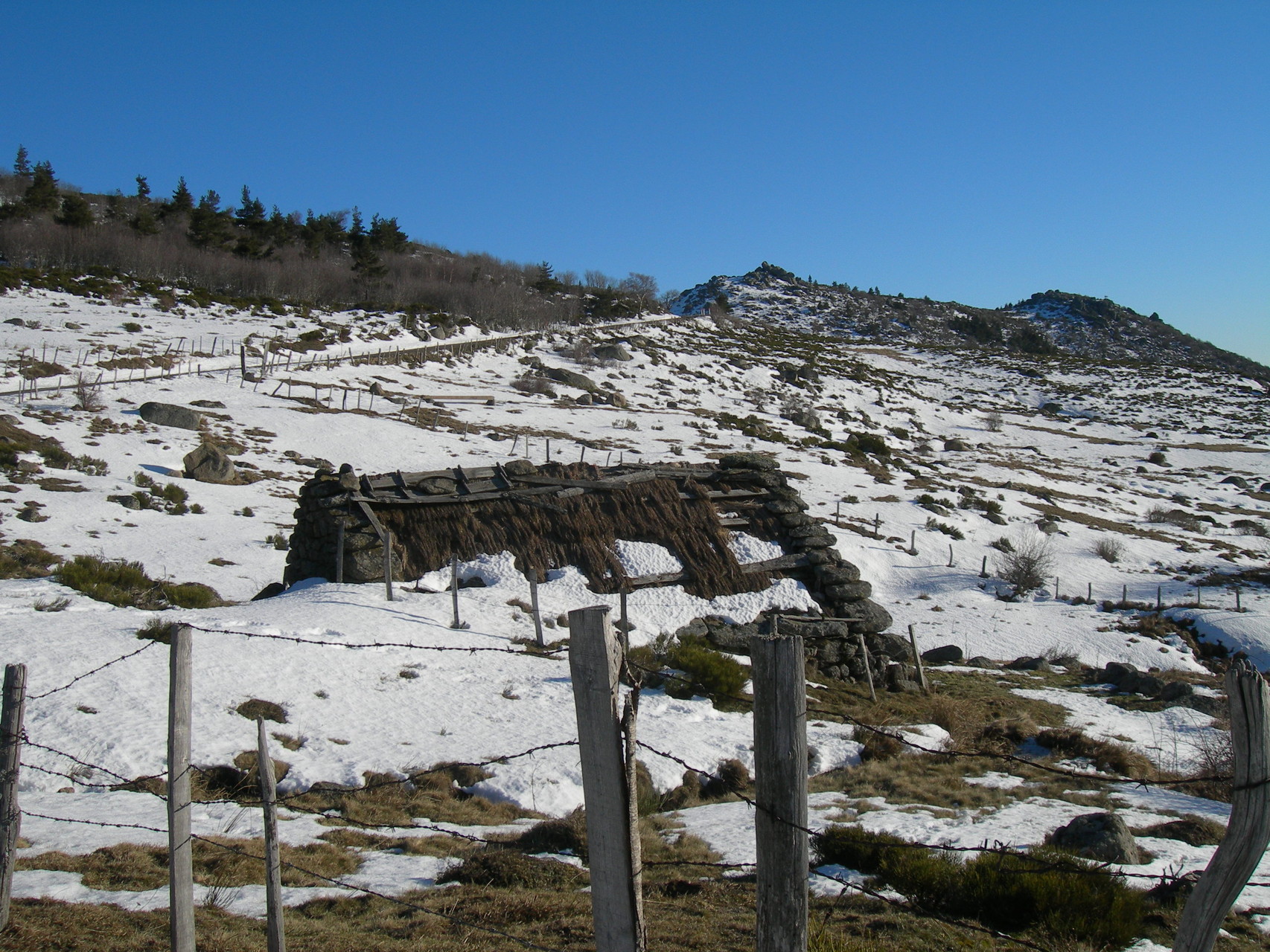 Mont Lozère