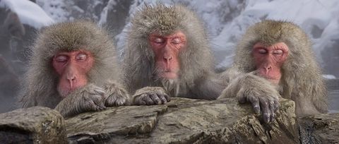 Denken, Nirmalo, Meditation