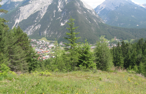 Auf dem Mühlberg