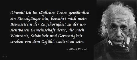 Albert Einstein Neu Staat