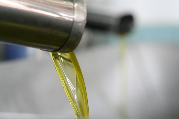 Pangaea Olivenöl aus Griechenland – in der Olivenölmühle – endlich fließt das frische Olivenöl
