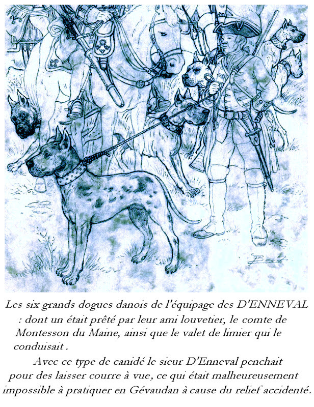 Les chiens utilisés par les sieurs d'Enneval