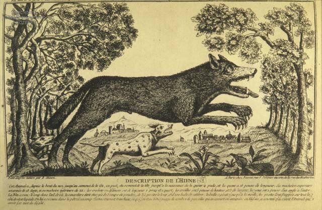 La bête du Gévaudan
